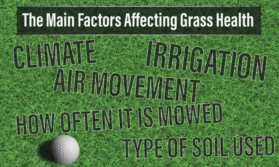 golf-grass-variables